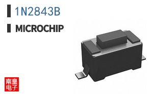 1N2843B