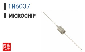 1N6037