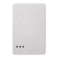 ATATMEL-ICE-BASIC ͼƬ