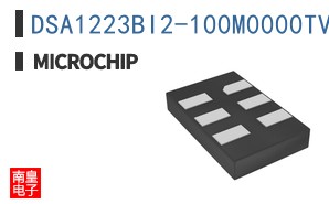 DSA1223BI2-100M0000TVAO