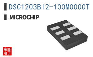 DSC1203BI2-100M0000T