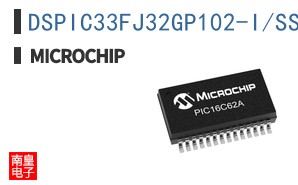 DSPIC33FJ32GP102-I/SS