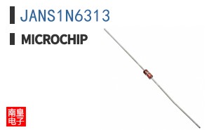 JANS1N6313