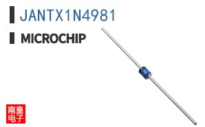 JANTX1N4981