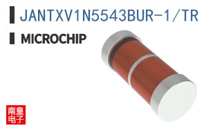 JANTXV1N5543BUR-1/TR
