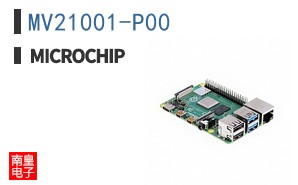 MV21001-P00