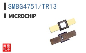 SMBG4751/TR13