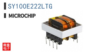 SY100E222LTG