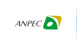 Anpec Electronics