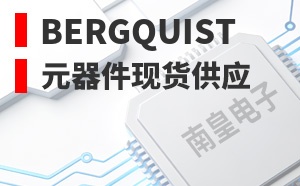 Bergquist��LOGO
