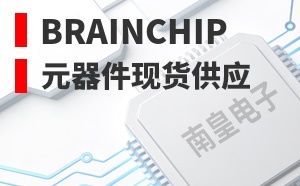 Brainchip��LOGO