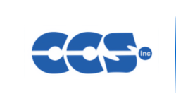 Custom Computer Services Inc.