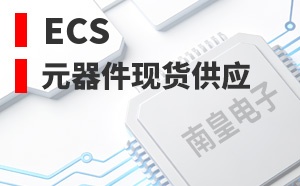 ECS��LOGO