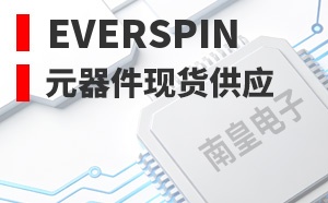 EverSpin��LOGO