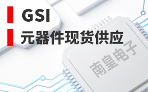 GSI��LOGO