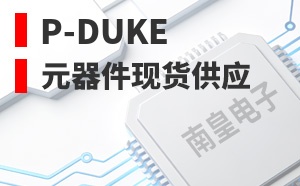 P-DUKE��LOGO