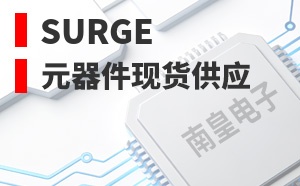 SURGE��LOGO