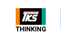 Thinking Electronic