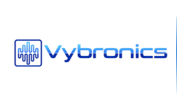 Vybronics Inc