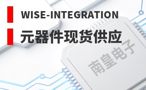 Wise-Integration��LOGO